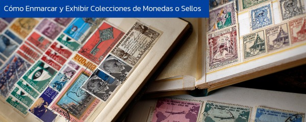 Cómo Enmarcar y Exhibir Colecciones de Monedas o Sellos